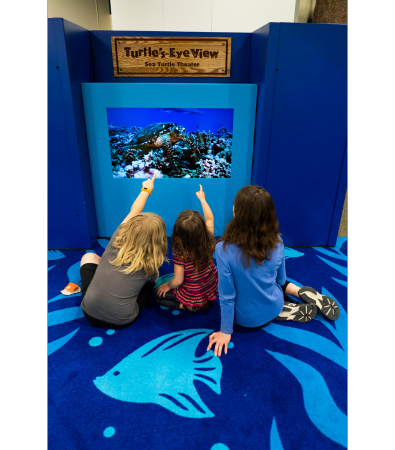 Turtle Travels Theater