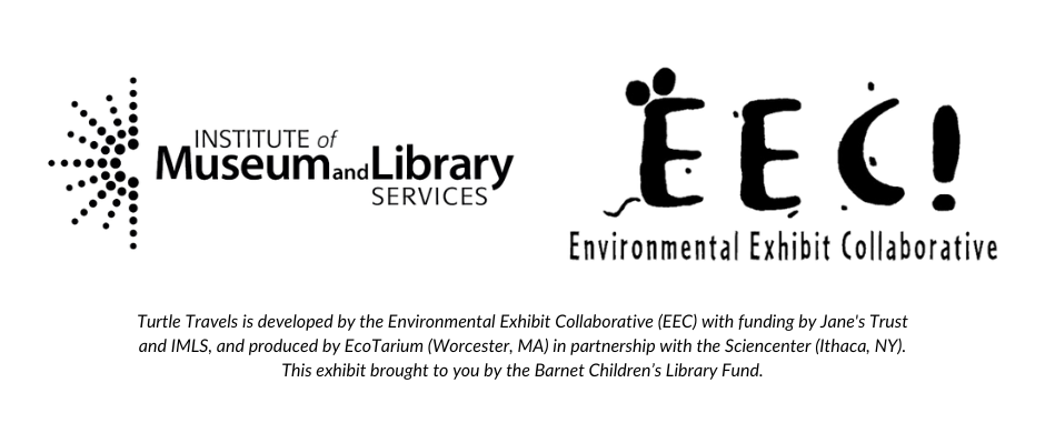  Institute of Museum and Library Services  & Environmental Exhibit Collaborative logos