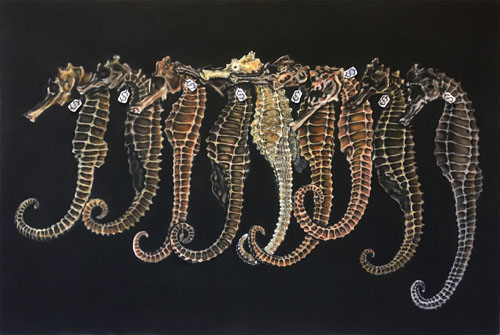 Black Marketed Seahorses by Catherine L. Ceva. Charcoal, pastels, and white ink on paper.