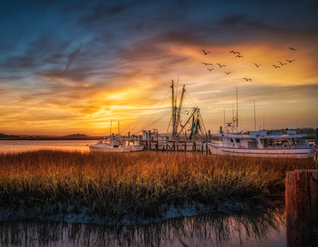 Sunset photo with ships, water, birds